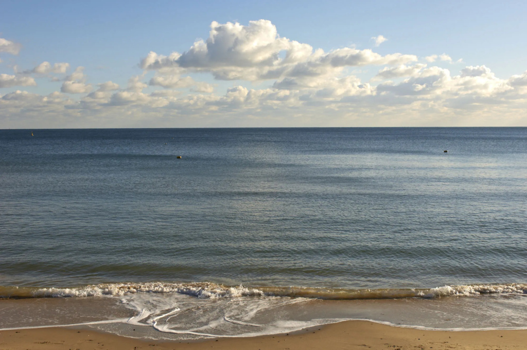 Beach & Waterfront