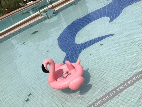 Perfect International Hotel - фото 17