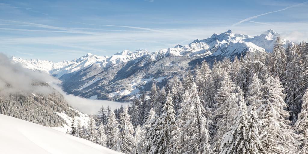 Biohotel Bühelwirt by null