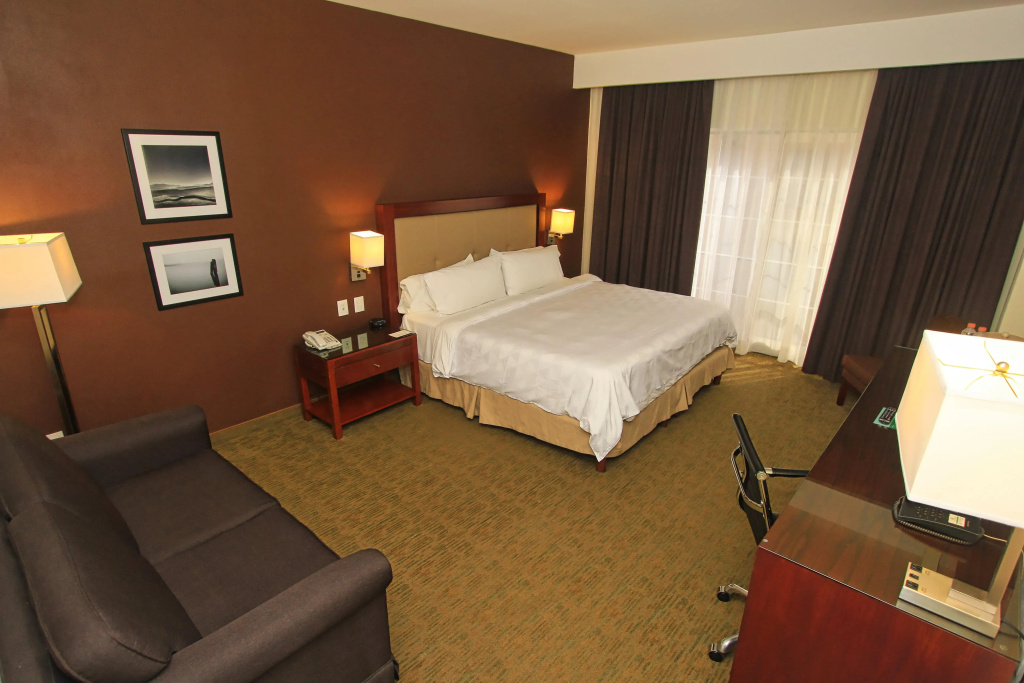 Holiday Inn Leon by IHG - Général