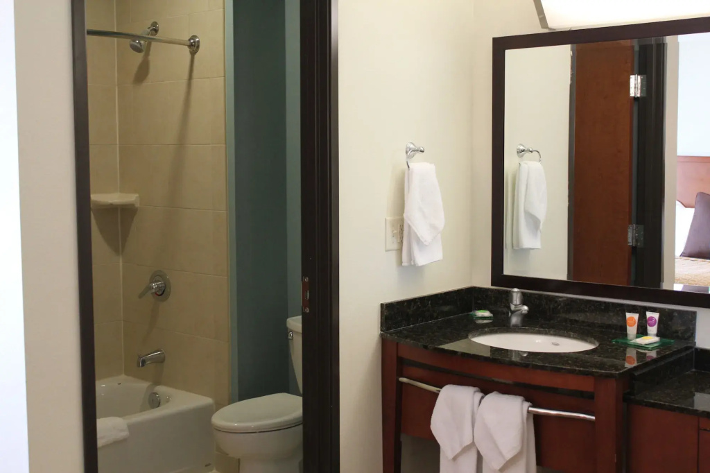 Hyatt Place Dallas/Garland/Richardson - Général