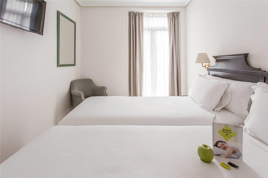 Sercotel Hotel Europa - Général