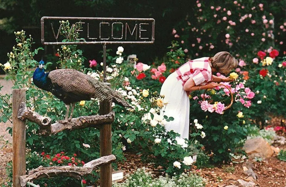 Wicky Up Ranch Bed and Breakfast