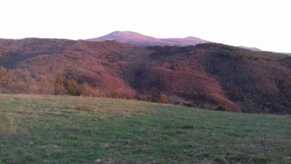 La Casa del susino