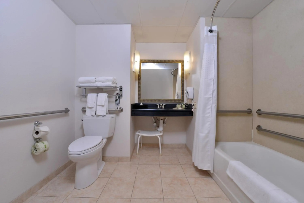 Holiday Inn Madison at The American Center by IHG - Général