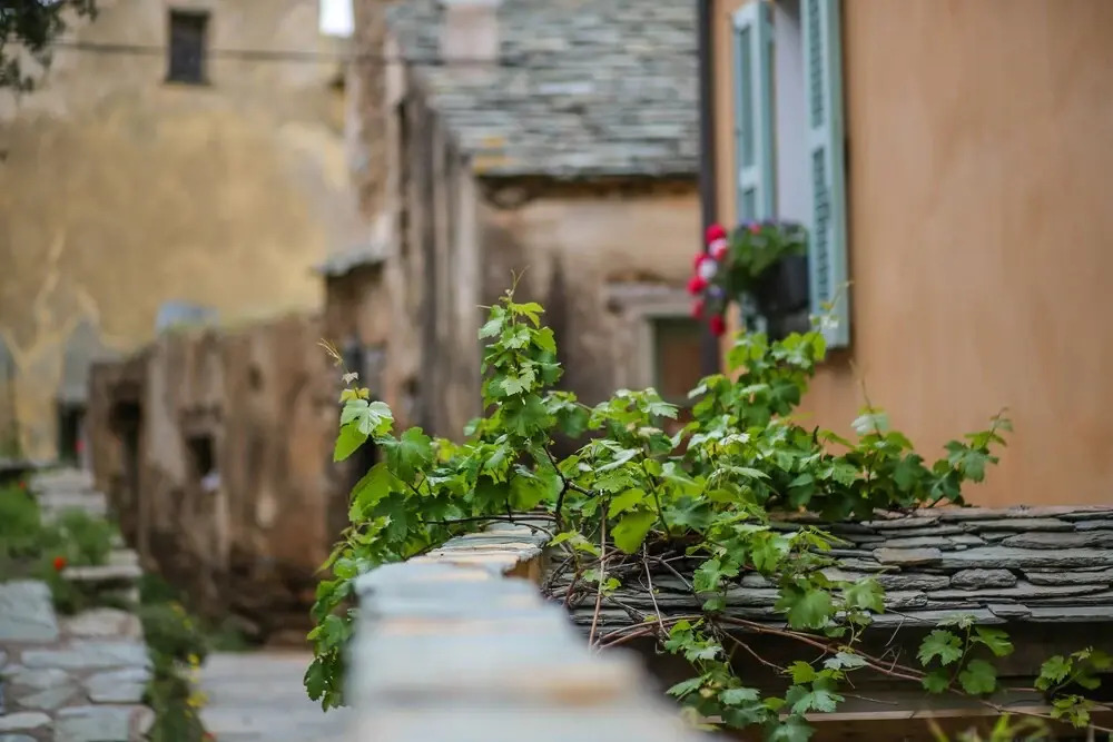 Latu Corsu - Cote Corse