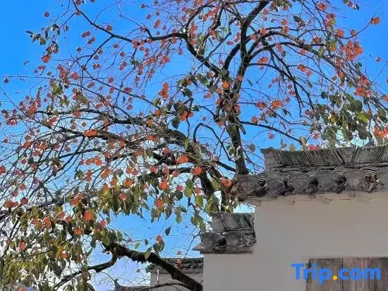 Hongcun knows • Food House B&B (Tachuan Scenic Area)