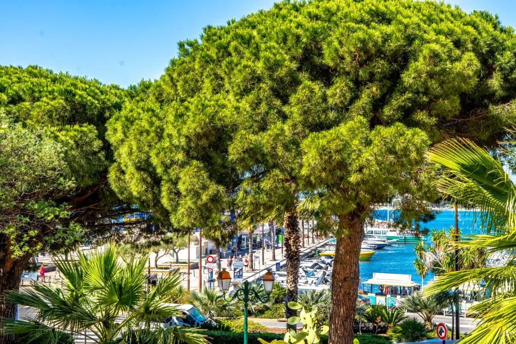 Hotel Les Palmiers - Chambres