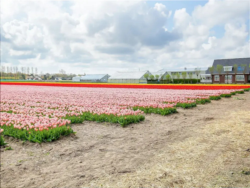 Bungalow in Noordwijk Near Beaches