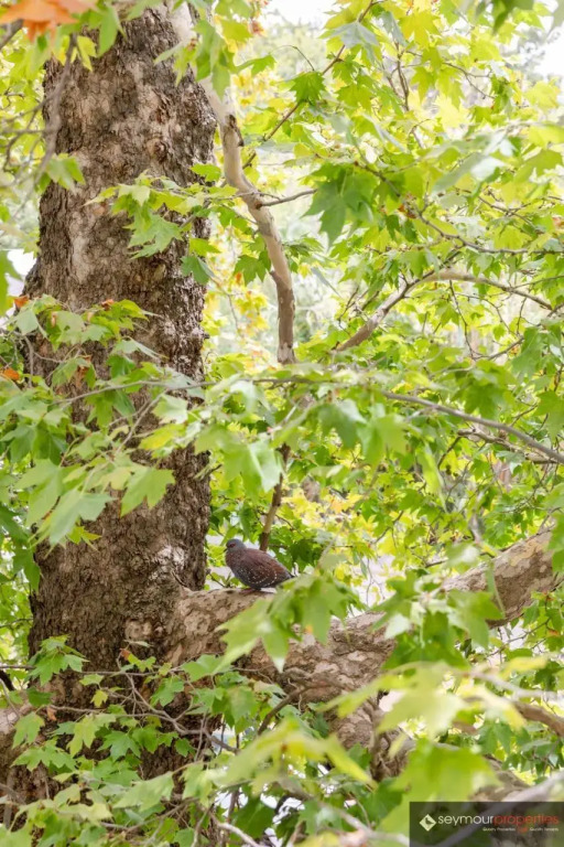 Collection Luxury Apartments - Concord 11 - фото 9