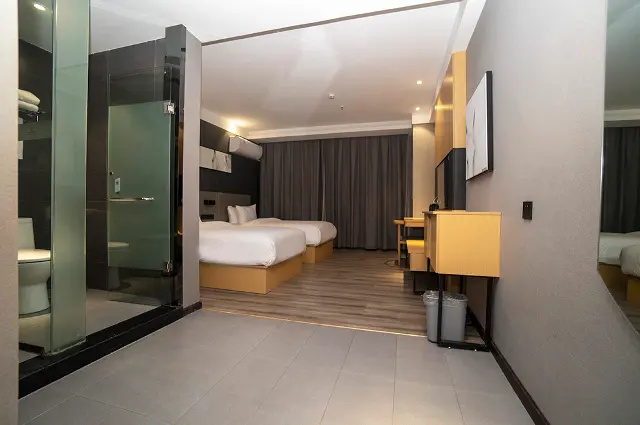 Standard Double room (twin beds)
