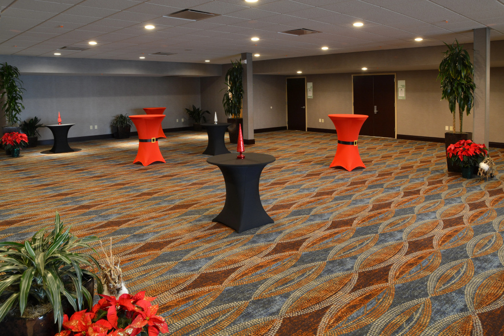 Holiday Inn Canton (Belden Village) by IHG - Général