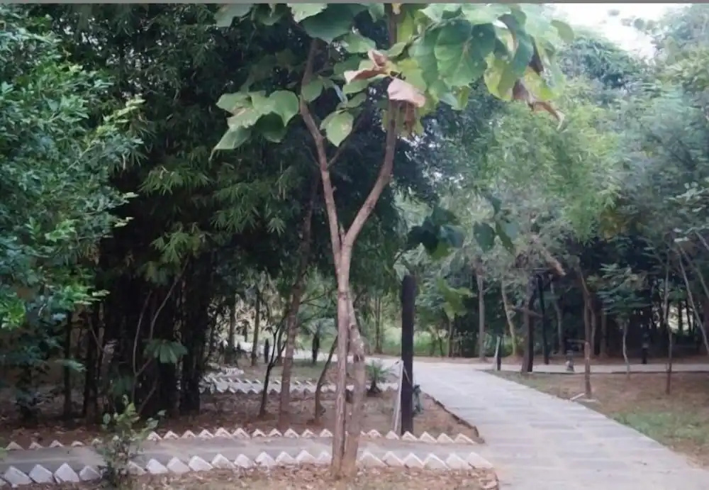 Mogli Resorts Kanha - Général