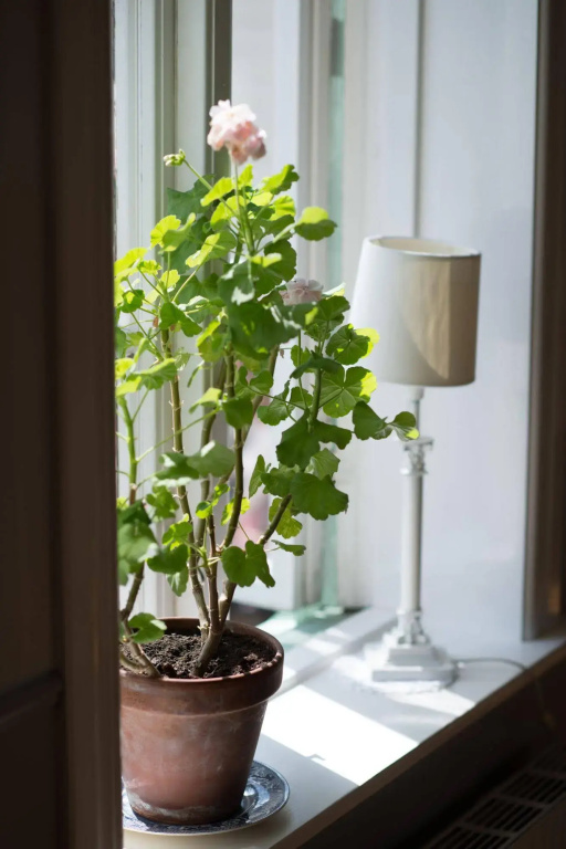 Hotel photo 42
