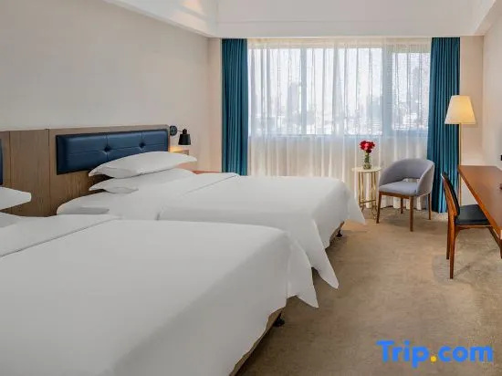Deluxe Double room with lake view (twin beds)
