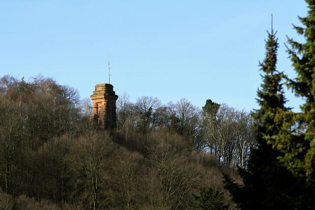Image 19