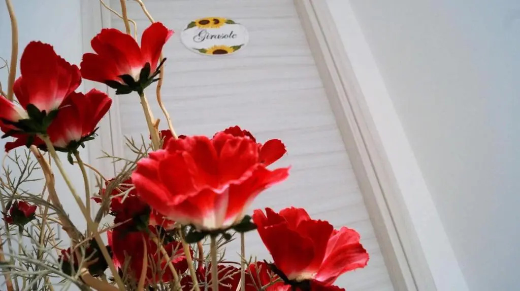 BB La Vie En Rose - Chambres