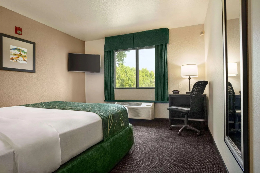 Standard Double room (full double bed)