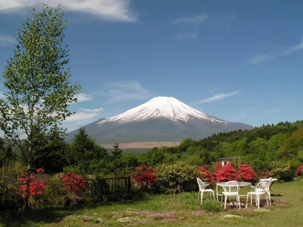 Guest House Teatime