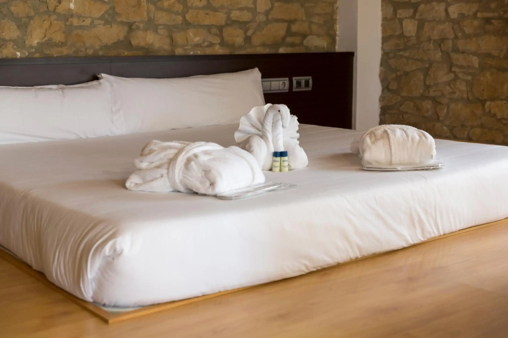 Iberik Hotel Balneari Rocallaura - Général