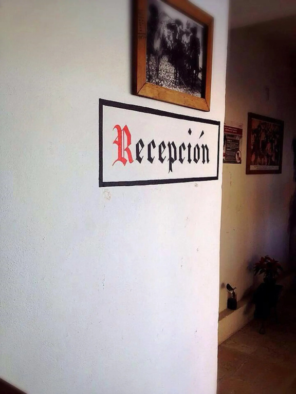 OYO Hotel Posada los Ángeles - фото 13