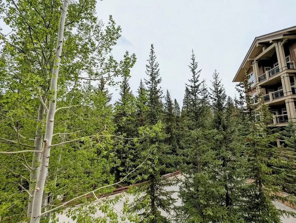 Hotel photo 35