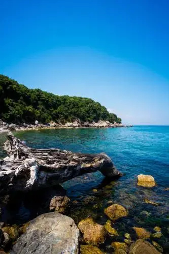 Beach & Waterfront