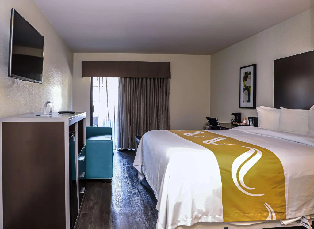 1 Bedroom Suite