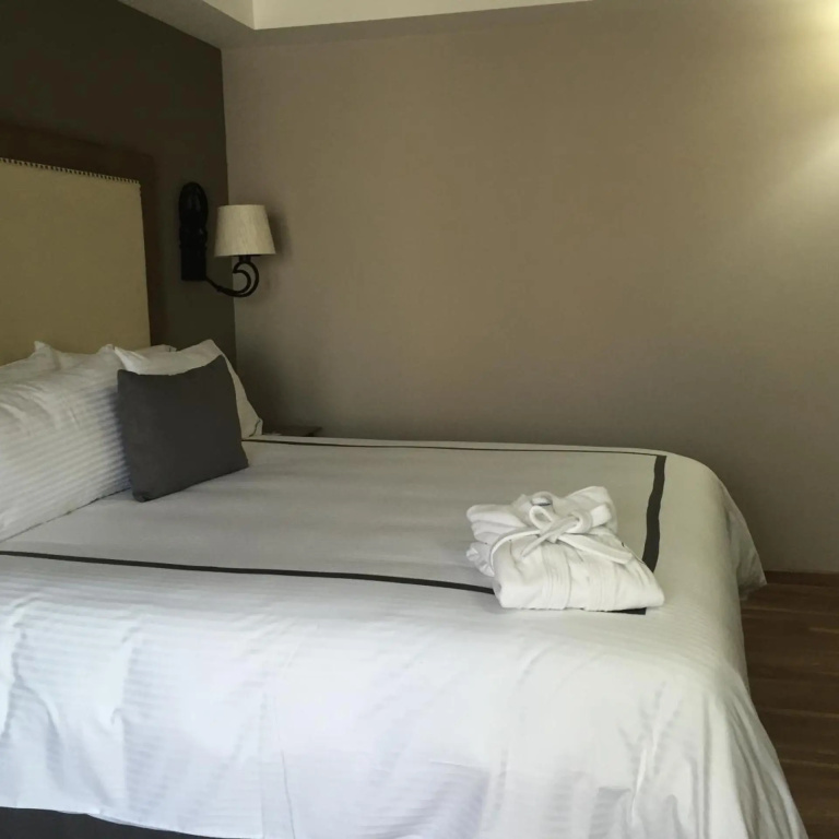 Hotel photo 50
