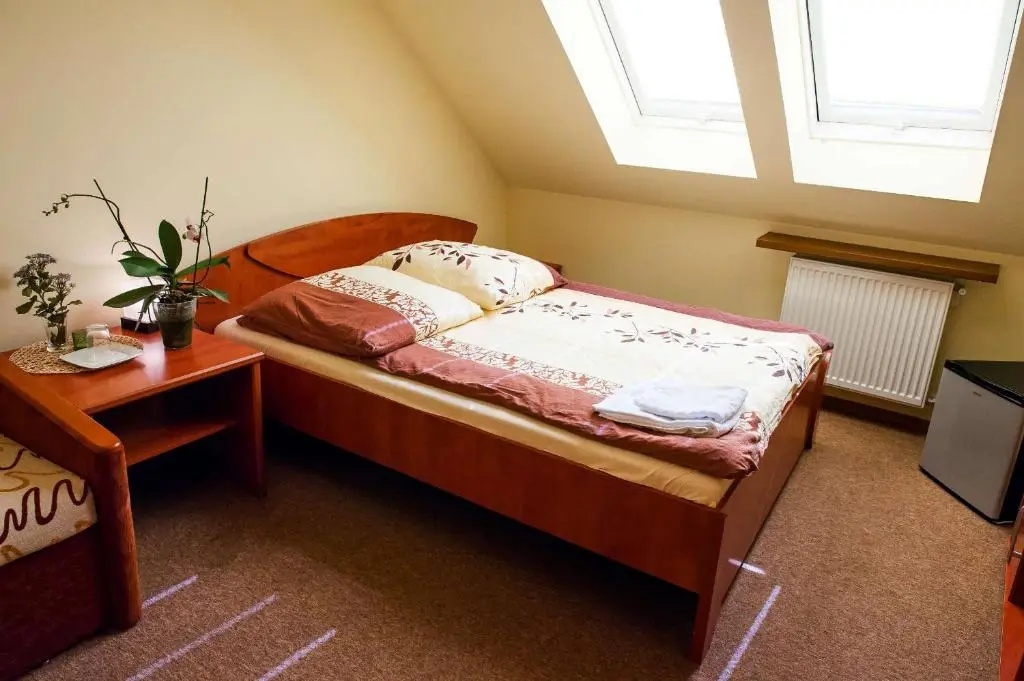 Deluxe Double room (full double bed)