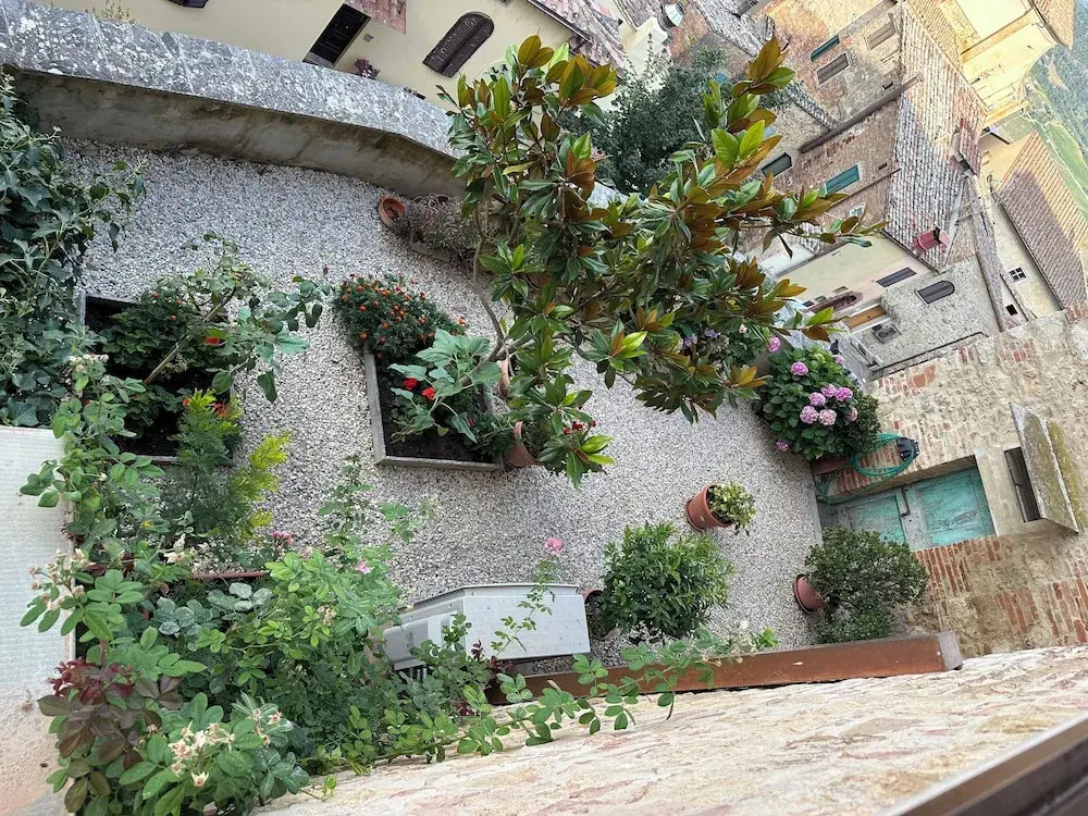 Il nido dell'Upupa