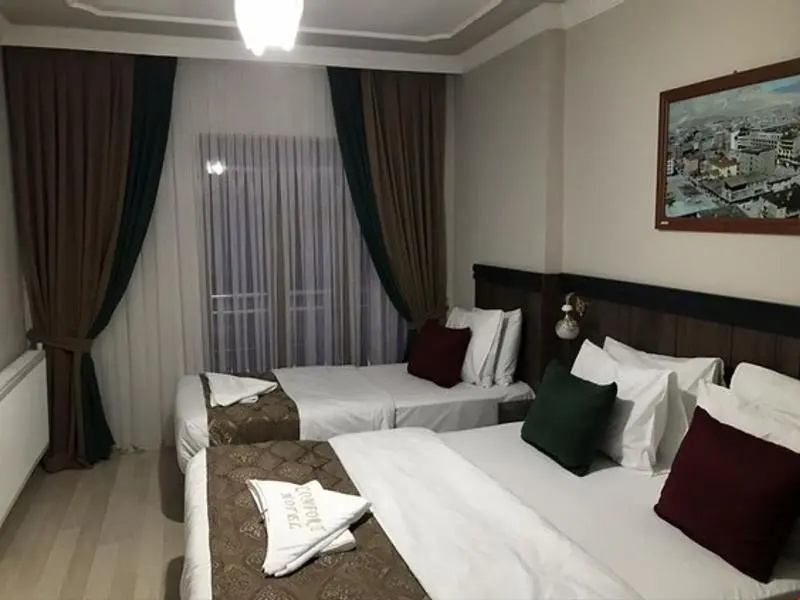 Comfort Hotel Van — 4