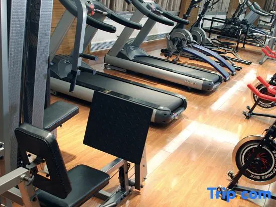 Plaza Holiday Inn Jiayuguan — фото 3