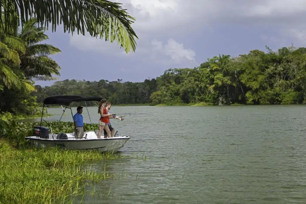 Gamboa Rainforest Reserve - Général