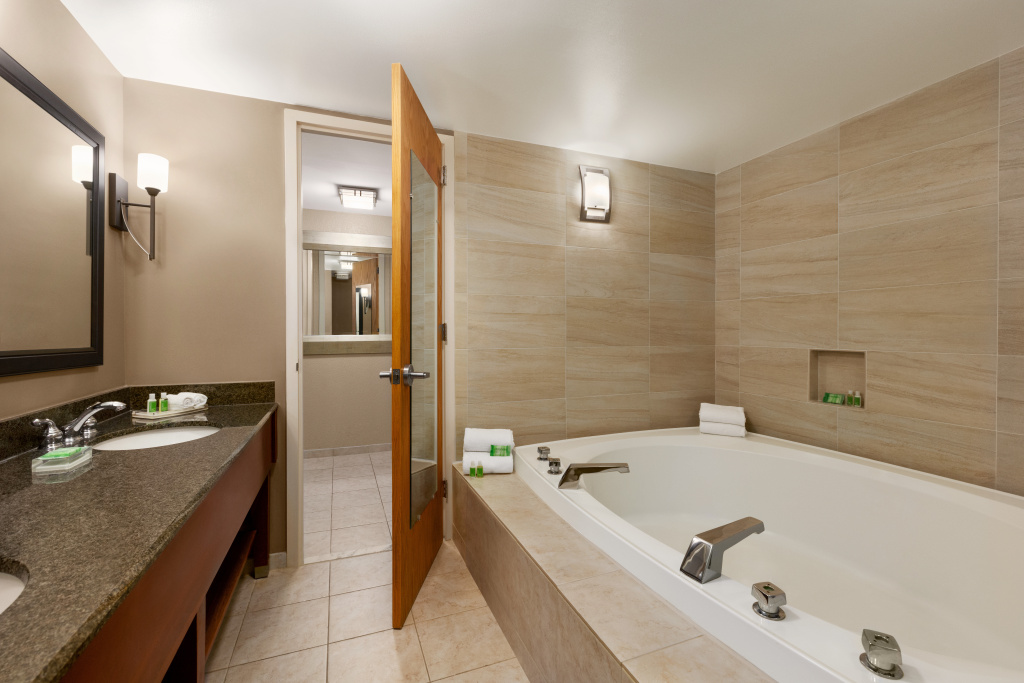 Holiday Inn Washington-Dulles International Airport by IHG - Général