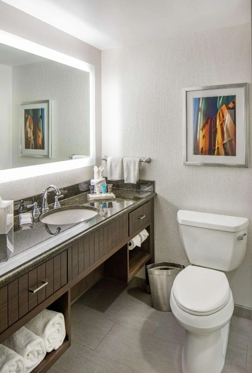 Hilton Minneapolis - Chambres