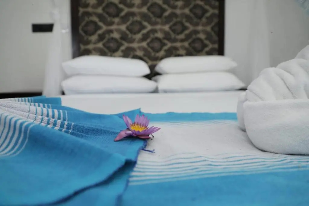 Deluxe Double room with balcony (full double bed)