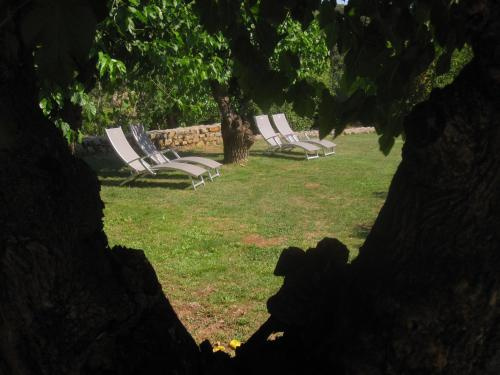 Afficher la photo 7 — Mas de la Garrigue