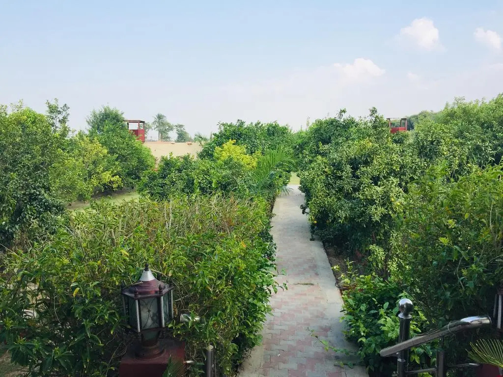 Arabian Lodges - фото 9