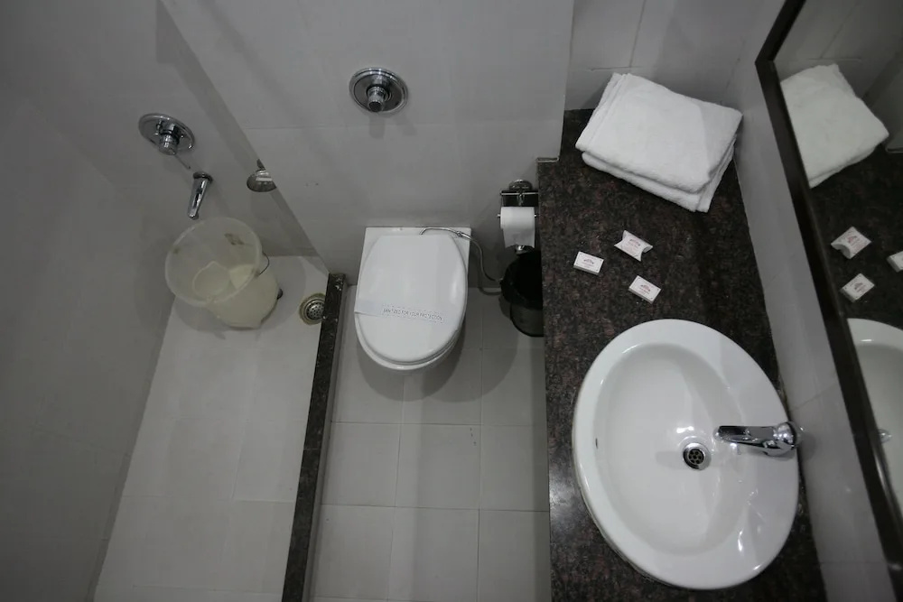 Hotel Sarovar Regency - Général
