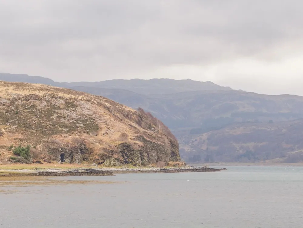 Craigard