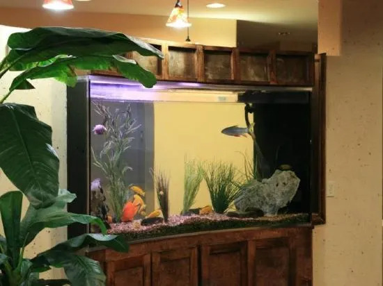 Comfort Suites Brownsville — фото