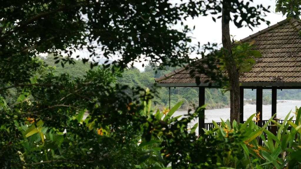 Hotel photo 41