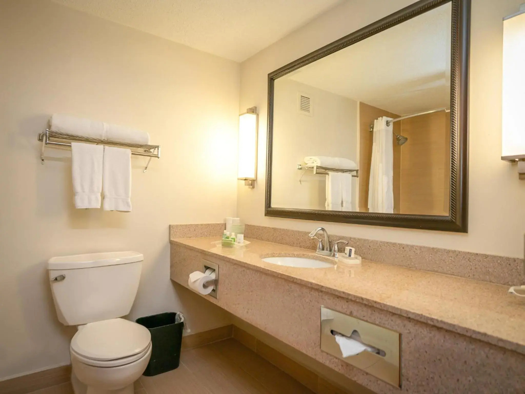 Holiday Inn Mayaguez and Tropical Casino by IHG - Général