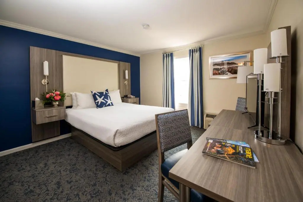 Standard Double room with city view (full double bed)