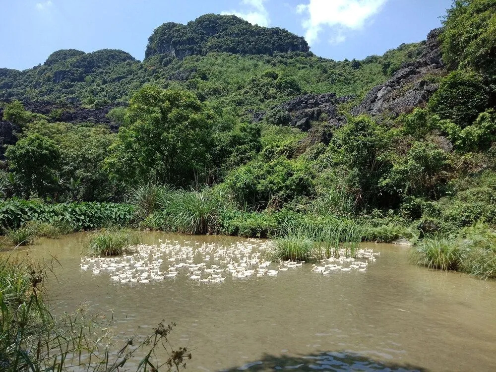 Rustic Houses Tam Coc