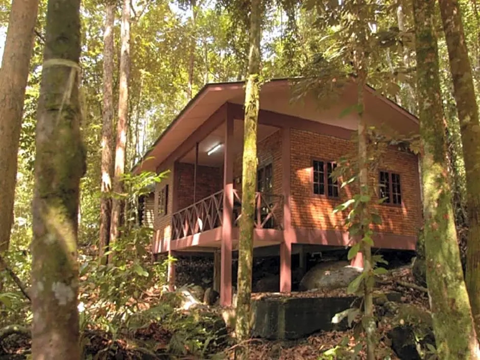 Permai Rainforest Resort