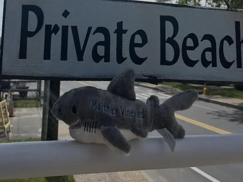 Hotel photo 45