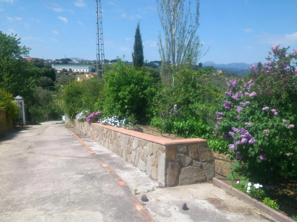 El Campito