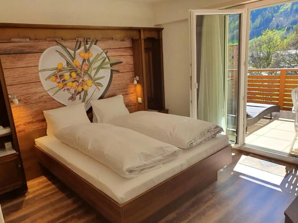 Standard Double room with balcony and with mountain view (full double bed)